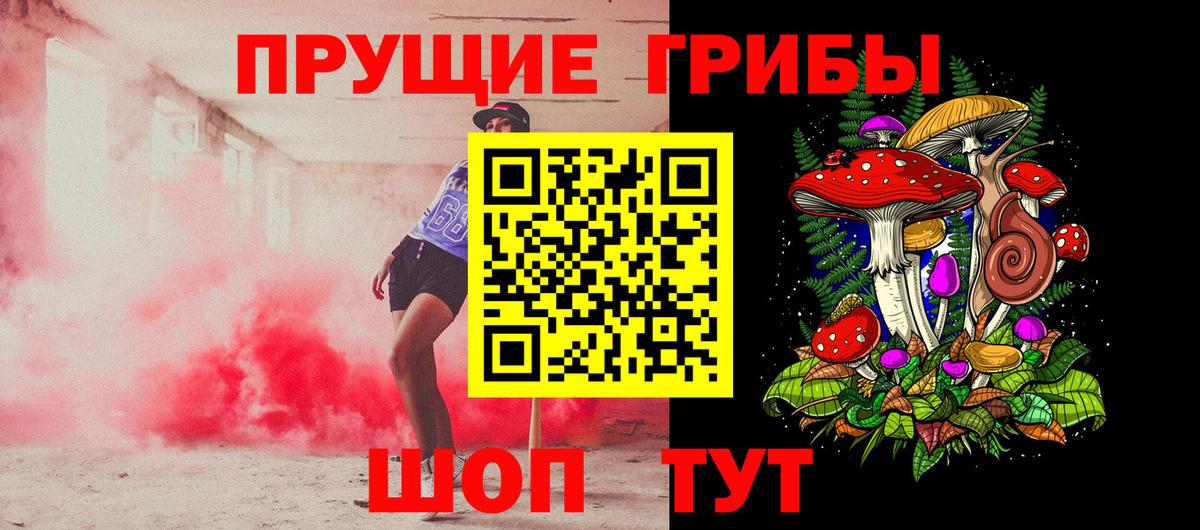 Усть-Кут  Псилоцибиновые грибы GOLDEN TEACHER  Вход с VPN  Псилоцибиновые грибы Magic Shrooms 